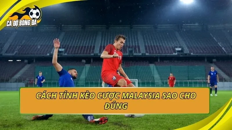 Cách tính kèo cược Malaysia sao cho đúng