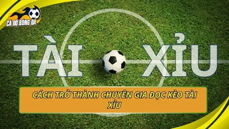 Cách trở thành chuyên gia đọc kèo tài xỉu