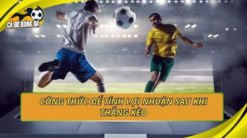 Công thức để tính lợi nhuận sau khi thắng kèo