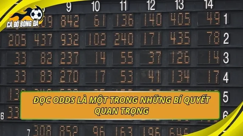 Đọc Odds là một trong những bí quyết quan trọng