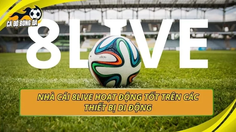 Nhà cái 8live hoạt động tốt trên các thiết bị di động