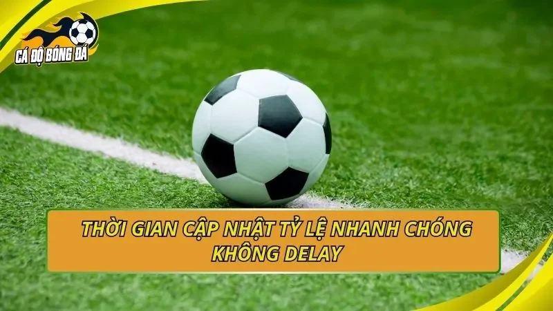 Thời gian cập nhật tỷ lệ nhanh chóng không delay